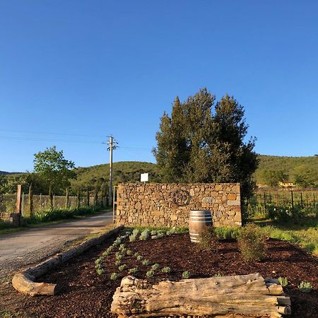 Agriturismo La Posta Reale Castiglion Fibocchi Exterior foto