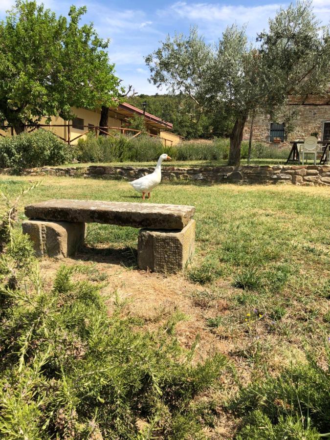 Agriturismo La Posta Reale Castiglion Fibocchi Exterior foto