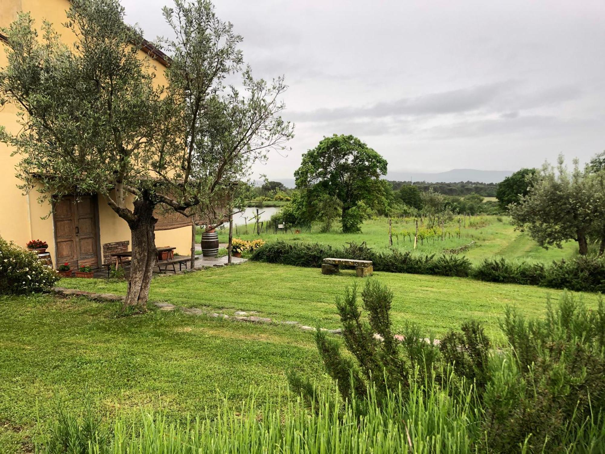 Agriturismo La Posta Reale Castiglion Fibocchi Exterior foto