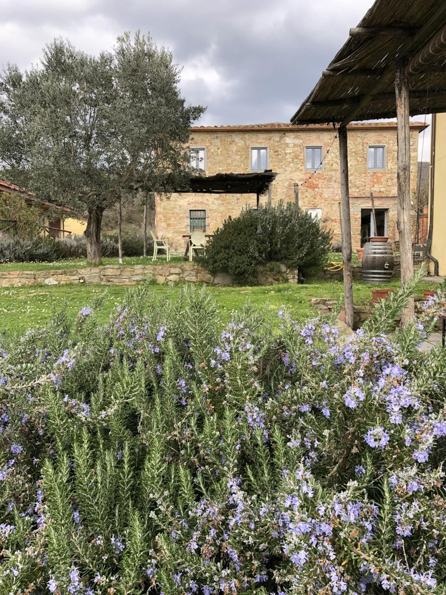 Agriturismo La Posta Reale Castiglion Fibocchi Exterior foto
