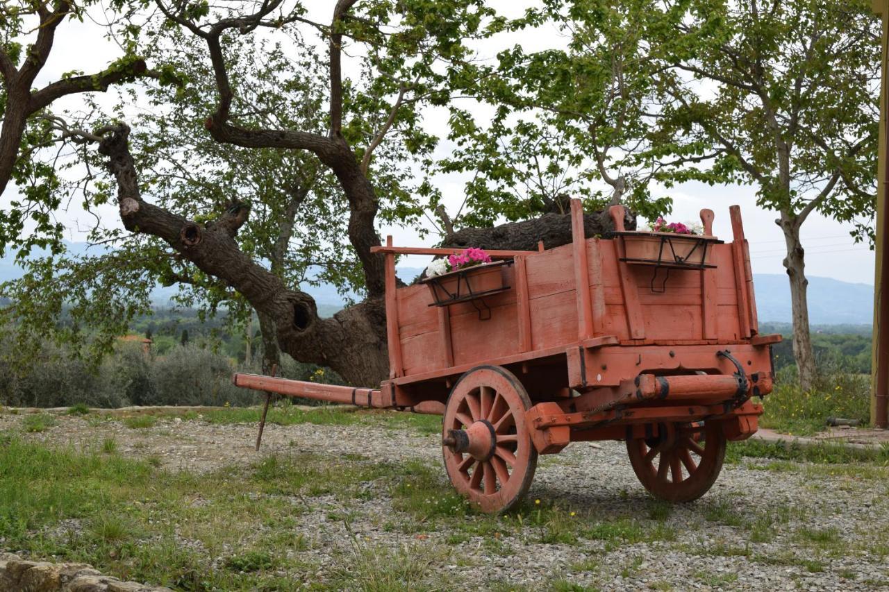 Agriturismo La Posta Reale Castiglion Fibocchi Exterior foto